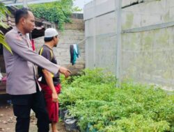 Ubah Lahan Kosong Jadi Sumber Gizi, Cara Bhabinkamtibmas Bajur Perkuat Ketahanan Pangan