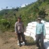 BHABINKAMTIBMAS POLSEK WOJA PANTAU PANEN JAGUNG WARGA, DUKUNG KETAHANAN PANGAN NASIONAL