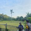 Dukung Swasembada Pangan, Bhabinkamtibmas Desa Sampe Pantau Pertumbuhan Tanaman Padi Warga