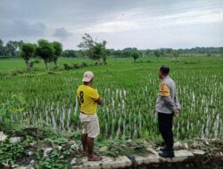 Perkuat Ketahanan Pangan, Bhabinkamtibmas Desa Tolo’oi Dampingi Petani dan Motivasi Pemanfaatan Lahan
