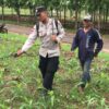 Polri Dukung Astacita, Polsek Merakurak Polres Tuban Turun Cek Tanaman Jagung Warga di Desa Tuwiri Kulon