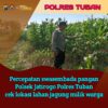 Dukung Astacita, Polsek Jatirogo Polres Tuban Pantau Langsung Lahan Jagung Warga Desa Sidomulyo