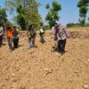 Anggota Polsek Bancar Bersama Forkopimcam dan Warga Gelar Penanaman Jagung Serentak di Desa Siding