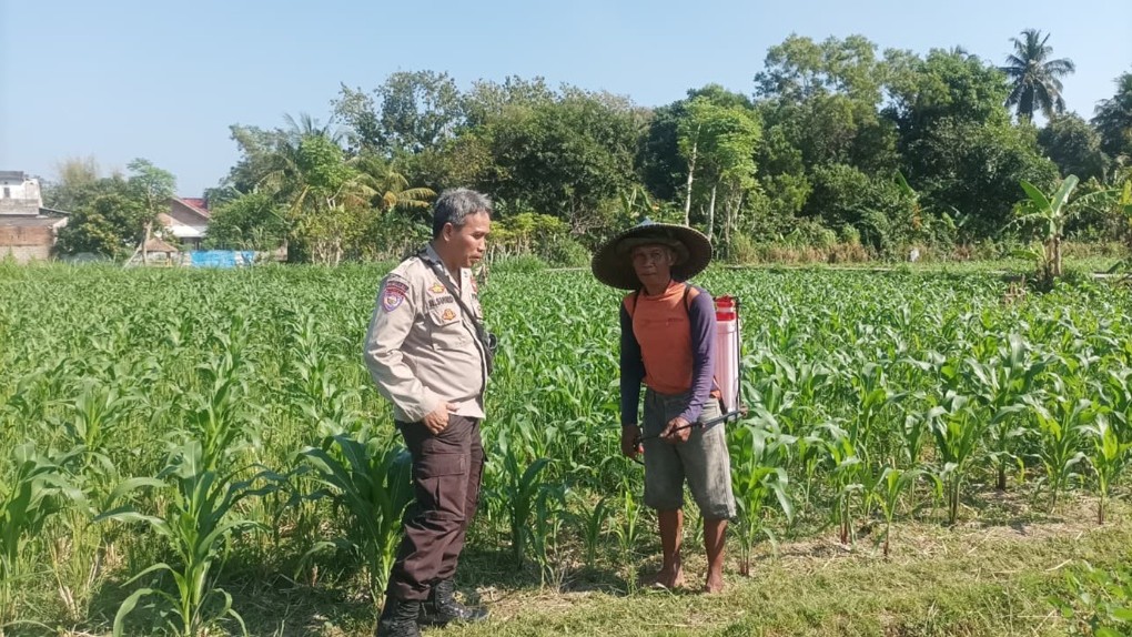 Bhabinkamtibmas Polsek Batulayar Edukasi Warga Tato Barat Soal Pangan Mandiri