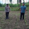 Polsek Kuripan Dampingi Petani Jagaraga Dorong Ketahanan Pangan