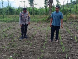 Polsek Kuripan Dampingi Petani Jagaraga Dorong Ketahanan Pangan