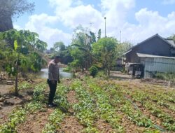 Bhabinkamtibmas Desa Bilelando Ajak Warga Manfaatkan Pekarangan untuk Dukung Ketahanan Pangan