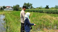 Bhabinkamtibmas Lombok Barat Motivasi Petani Jaga Ketahanan Pangan