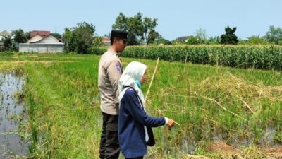Bhabinkamtibmas Lombok Barat Motivasi Petani Jaga Ketahanan Pangan