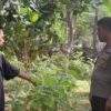 Bhabinkamtibmas Senggigi Gerakkan Warga Manfaatkan Lahan Tidur