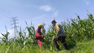 Sinergi Polsek Labuapi Perkuat Ketahanan Pangan Masyarakat