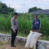 Aksi Nyata Polsek Labuapi Kawal Kedaulatan Pangan, Borong Semangat Petani di Sawah