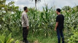 Wujudkan Kemandirian Pangan, Polsek Labuapi Dorong Warga Optimalkan Pekarangan