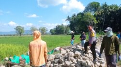 Bhabinkamtibmas Desa Dorebara Dampingi Pembuatan Saluran Irigasi, Dorong Produktivitas Pertanian dan Pemanfaatan Pekarangan