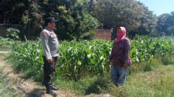 Dukung Pangan Bergizi, Bhabinkamtibmas Desa Labuhan Burung Ajak Warga Optimalkan Lahan Produktif