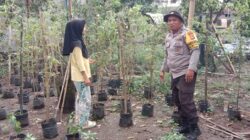 Langkah Konkret Polsek Labuapi Dorong Optimalisasi Lahan Produktif dan Pekarangan Warga