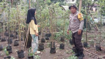 Langkah Konkret Polsek Labuapi Dorong Optimalisasi Lahan Produktif dan Pekarangan Warga