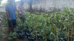 Bhabinkamtibmas Desa Suwangi Timur Sambangi Warga Dusun Turun Tangis, Ajak Masyarakat Bersama Jaga Kamtibmas