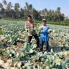 Bhabinkamtibmas Desa Bagik Papan Cek Panen Sayur dan Berikan Imbauan Kamtibmas kepada Warga