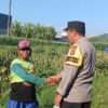 Dukung Ketahanan Pangan, Polsek Labuapi Turun Tangan Dampingi Petani di Desa Karang Bongkot