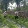 Bhabinkamtibmas Desa Kesik Cek Lahan Ketahanan Pangan Bergizi, Dorong Produktivitas Warga