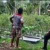 Bhabinkamtibmas Desa Kumbang Monitoring Ketahanan Pangan dan Ajak Masyarakat Jaga Kamtibmas