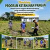 Anggota Bhabinkamtimas Polsek Senori Polresta Tuban Membantu Proses Pemupukan Tanaman Jagung Warga Desa Wanglukulon