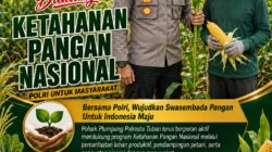 Polsek Plumpang Polresta Tuban Turun Langsung Cek Tanaman Jagung Warga
