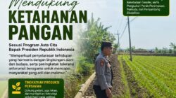 Polri Dukung Astacita, Polsek Merakurak Polres Tuban Turun Cek Tanaman Jagung Warga di Desa Tuwiri Wetan