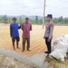 Polresta Tuban, Polsek Tambakboyo – Dukung Ketahanan Pangan, Personel Polsek Tambakboyo Patroli Dialogis ke Lahan Jemur Jagung Milik Warga
