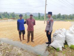 Polresta Tuban, Polsek Tambakboyo – Dukung Ketahanan Pangan, Personel Polsek Tambakboyo Patroli Dialogis ke Lahan Jemur Jagung Milik Warga