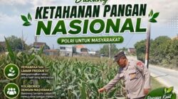Polri Dukung Astacita, Polsek Rengel Polres Tuban Turun Cek Tanaman Jagung Warga di Desa Rengel