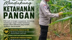 Dukung Astacita, Polsek Palang Polresta Tuban Pantau Langsung Lahan Jagung milik warga Desa Ketambul