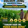 Polisi Polsek jenu Polres Tuban Turun ke Ladang, Dampingi Petani Jagung Dukung Ketahanan Pangan