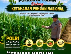Polisi Polsek jenu Polres Tuban Turun ke Ladang, Dampingi Petani Jagung Dukung Ketahanan Pangan