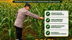 Bhabinkamtibmas Polsek Tuban Lakukan Pendampingan Tanaman Jagung Dukung Ketahanan Pangan Nasional