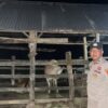 Gelar Patroli KRYD Dini Hari, Polsek Sekotong Sasar Area Kandang Ternak Warga di Cendi Manik