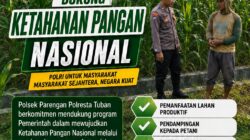 DALAM RANGKA DUKUNG PROGRAM ASTACITA, BHABINKAMTIBMAS DESA NGAWUN POLSEK PARENGAN POLRESTA TUBAN SAMBANG PETANI JAGUNG DI DESA NGAWUN KEC. PARENGAN KAB. TUBAN