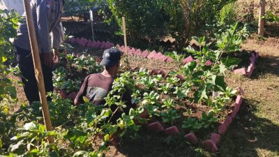 Dukung Program Asta Cita Ketahanan Pangan, Bhabinkamtibmas Desa Pelat Dorong Warga Manfaatkan Lahan Produktif