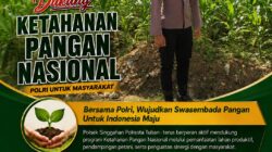 Polsek Singgahan Polresta Tuban Turun Cek Tanaman jagung Warga di Desa Tingkis