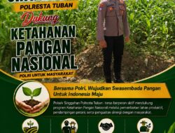 Polsek Singgahan Polresta Tuban Turun Cek Tanaman jagung Warga di Desa Tingkis