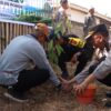 Polres Dompu Tanam Pohon Serentak Dukung Gerakan Indonesia Asri