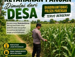 DALAM RANGKA POLRI DUKUNGAN PROGRAM ASTACITA, BHABINKAMTIBMAS DESA PACING POLSEK PARENGAN POLRESTA TUBAN SAMBANGI LOKASI TANAMAN JAGUNG DI DESA PACING KEC. PARENGAN