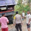 Diduga Kabin Lepas dari Pengunci, Truk Terperosok di Jalan Rontu-Kumbe Sopir di Evakuasi