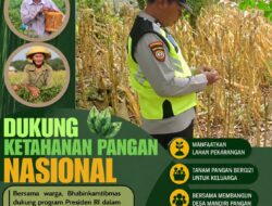 Polri Dukung Astacita, Polsek Rengel Polresta Tuban Turun Cek Tanaman Jagung Warga di Desa Sawahan