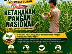 Polsek Singgahan Polresta Tuban Turun Cek Tanaman jagung Warga di Desa Tingkis