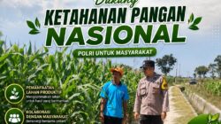 Polsek Plumpang Polresta Tuban Turun Langsung Cek Tanaman Jagung Warga