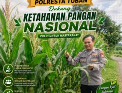 Dukung Astacita, Polsek Palang Polresta Tuban Pantau Langsung Lahan Jagung milik warga Desa Wangun