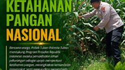 Polsek Tuban Dukung Ketahanan Pangan Nasional, Pantau Langsung Lahan Jagung Warga