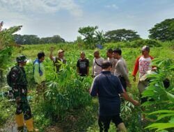 Polsek Batulayar Bergerak Sulap Lahan Tidur Jadi Sumber Pangan Produktif Warga